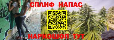 крисы Донской