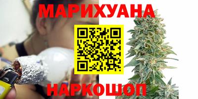 крисы Донской