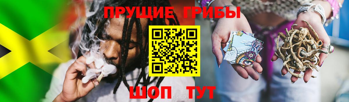 Галлюциногенные грибы Magic Shrooms  Вход с VPN  Луга  Псилоцибиновые грибы ЛСД 